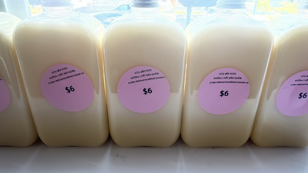 #.FRESH CORN MILK (350ml)/SỮA BẮP TƯƠI NGUYÊN CHẤT (350ml)
