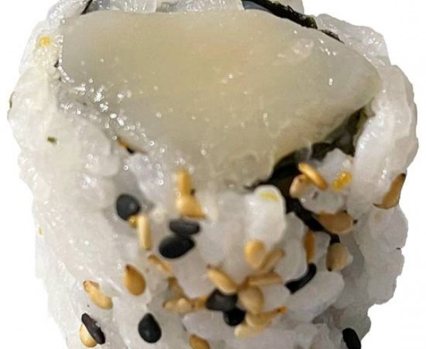 H11. Pétoncles (Reg)