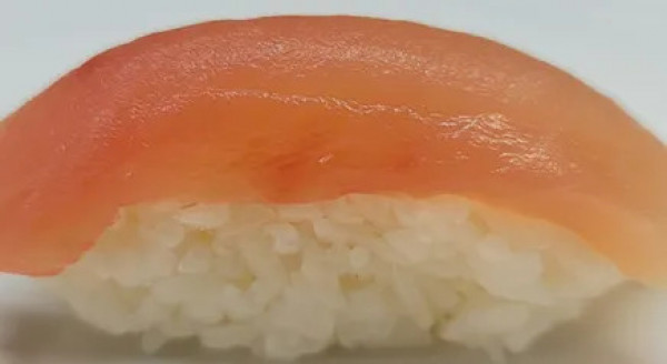 Albacore