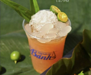 8. Kumquat Tea Palm Seeds / Trà Tắc Hạt Đác