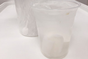 007. Nước dừa xiêm