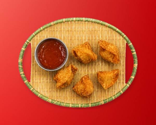 Wontons frits (5)